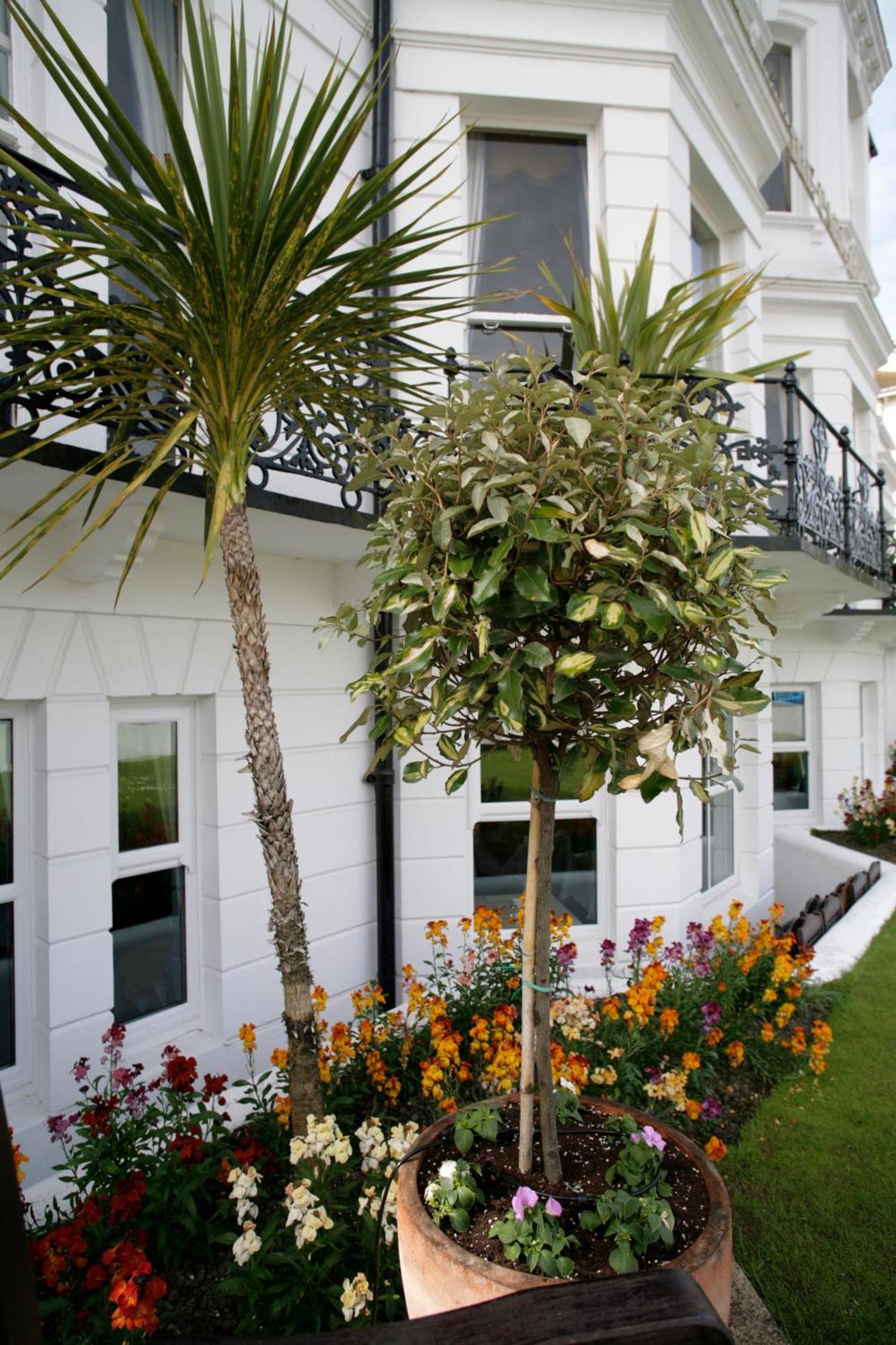 Devonshire Park Hotel Eastbourne Exterior foto